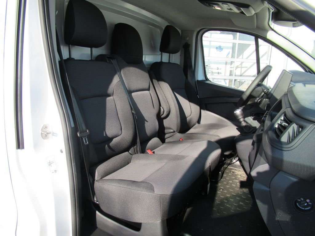 Fahrzeugbild eines Renault Trafic