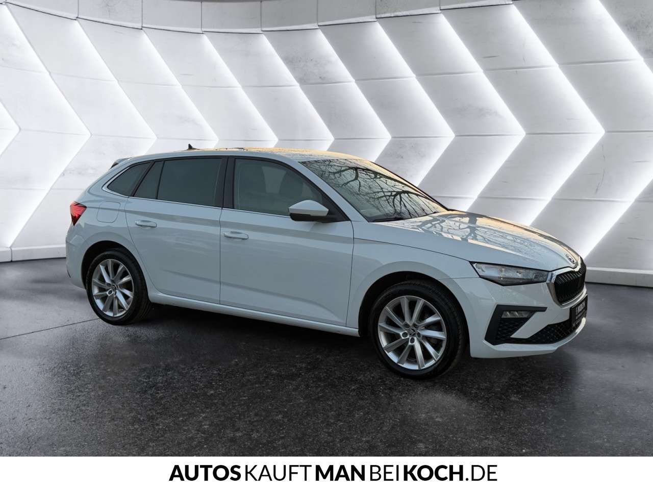 Fahrzeugbild eines Skoda Scala
