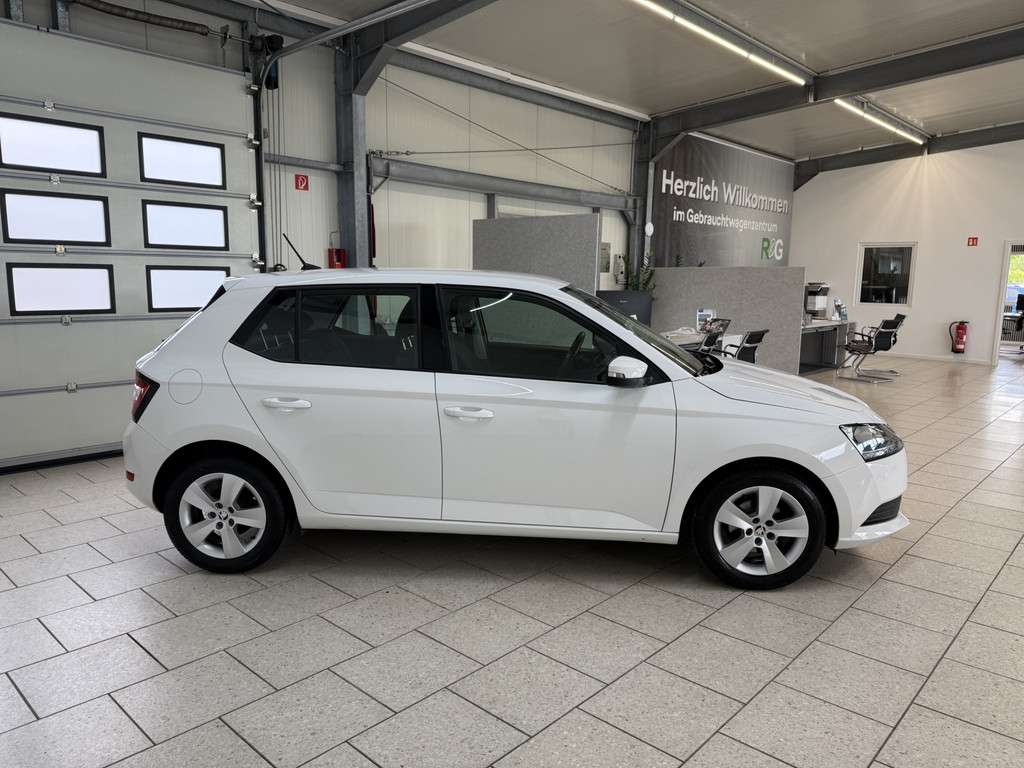 Fahrzeugbild eines Skoda Fabia