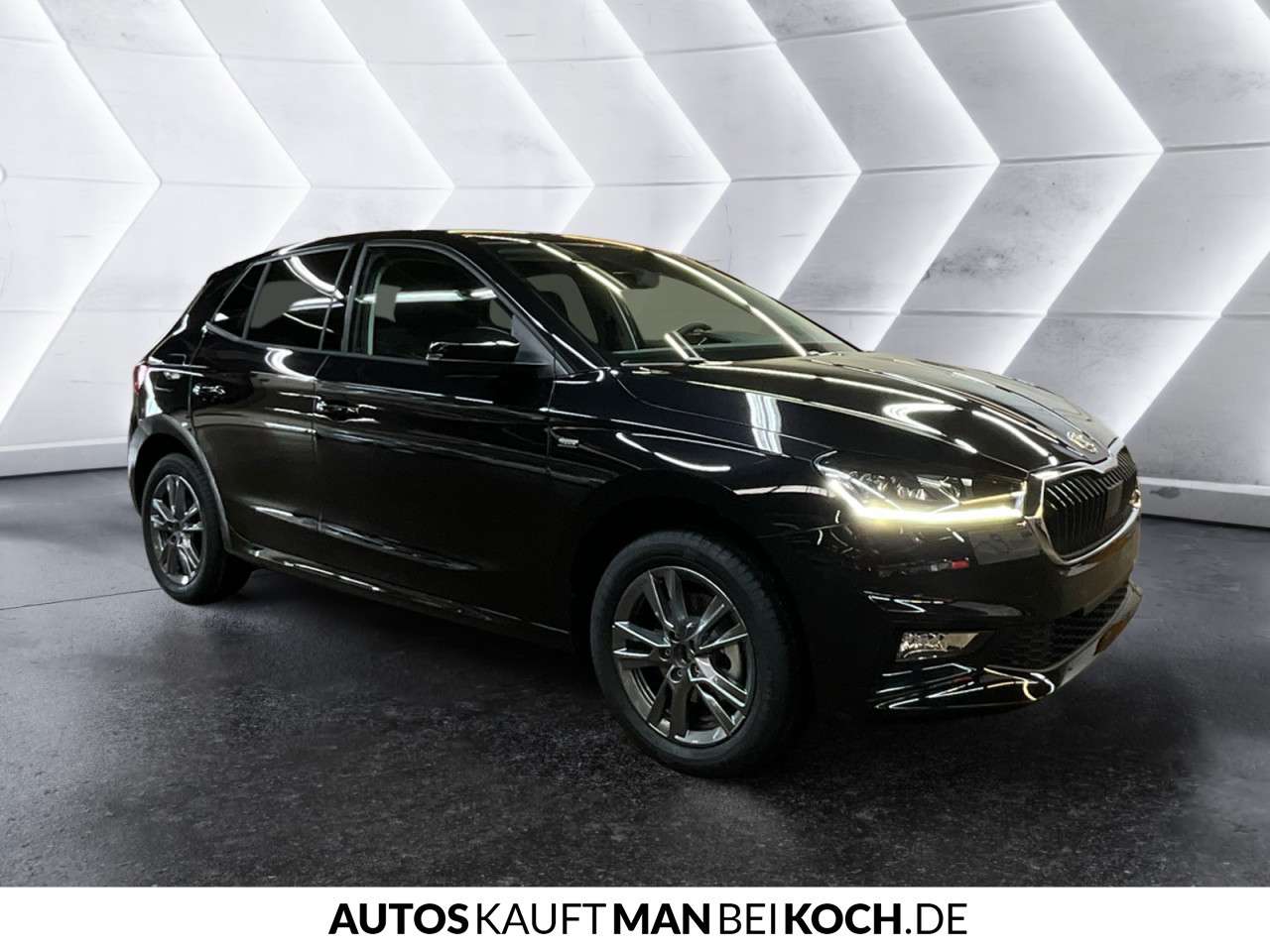 Fahrzeugbild eines Skoda Fabia