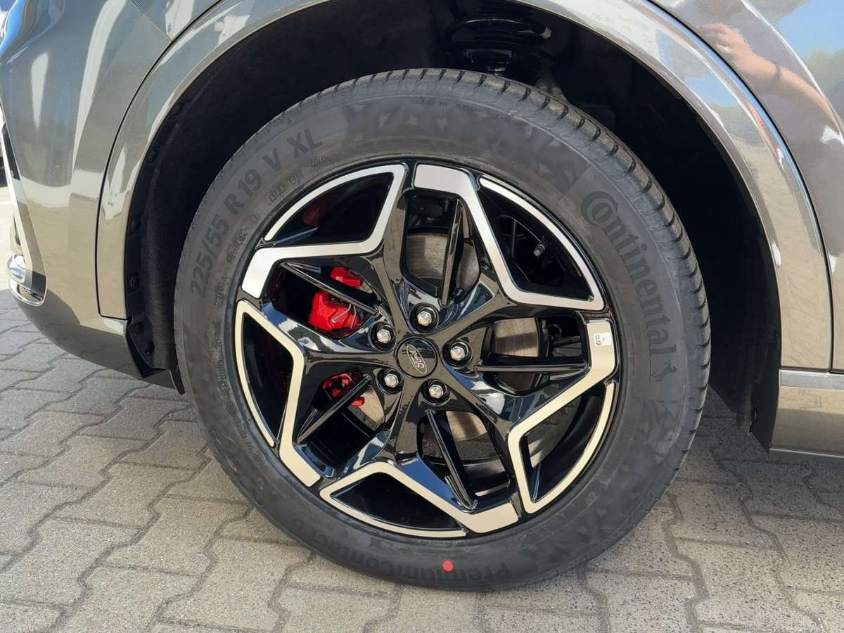 Fahrzeugbild eines Ford Kuga