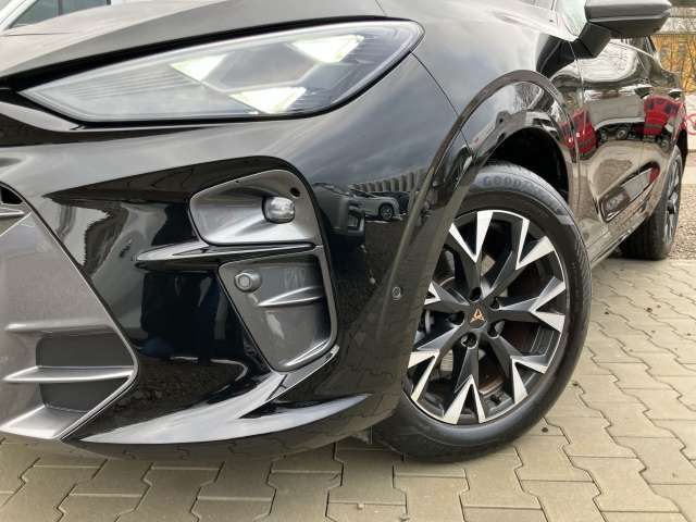 Fahrzeugbild eines CUPRA Terramar