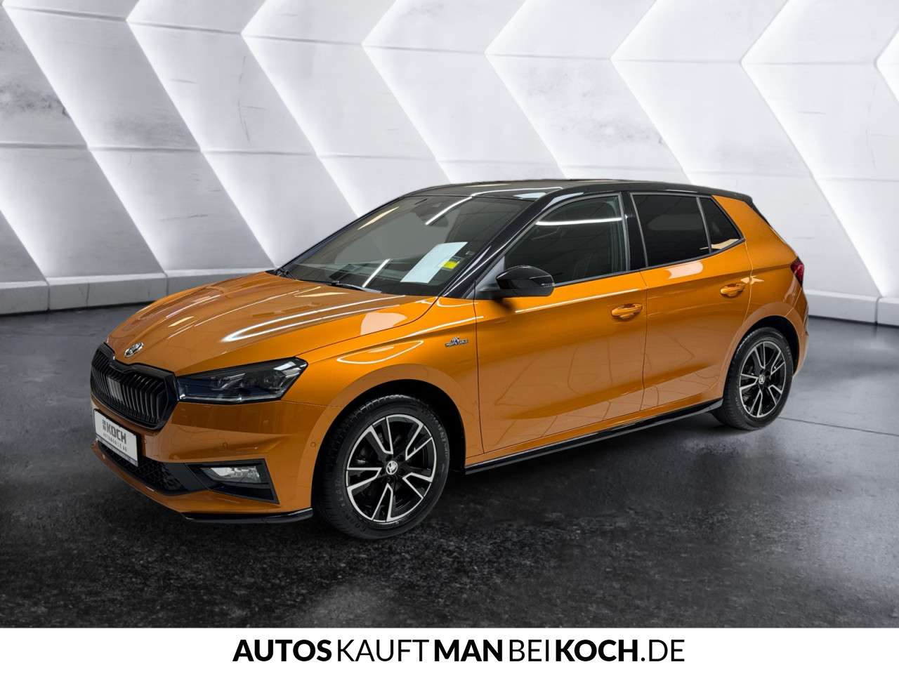 Fahrzeugbild eines Skoda Fabia