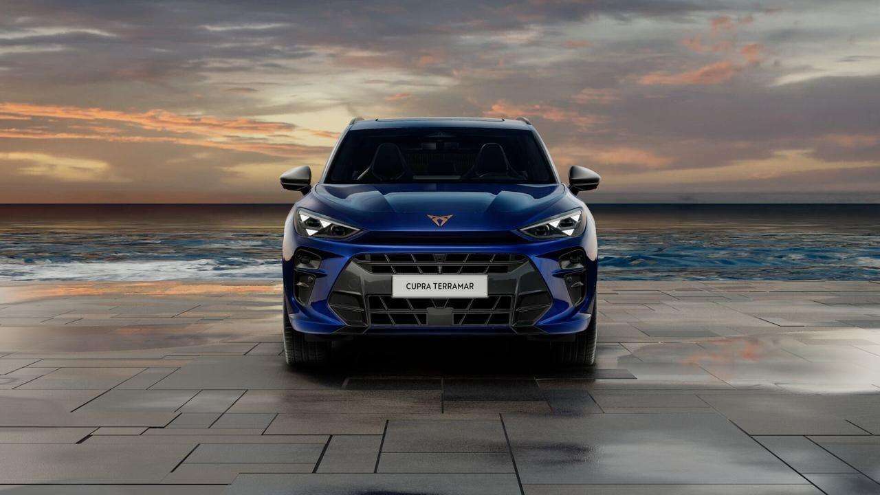 Fahrzeugbild eines CUPRA Terramar