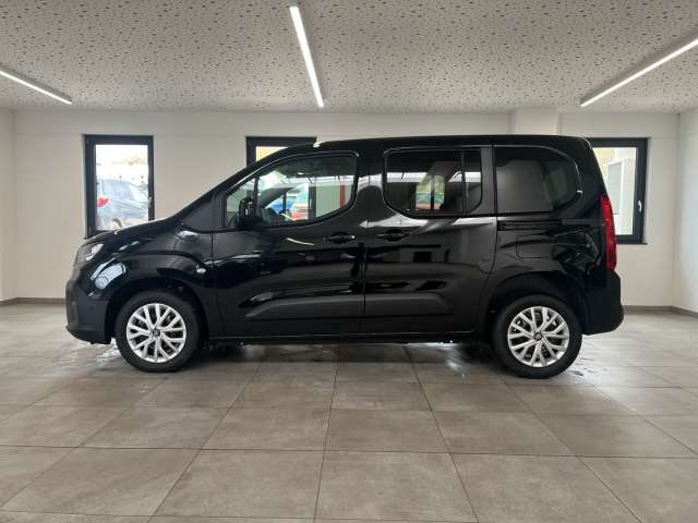 Fahrzeugbild eines Fiat Doblò