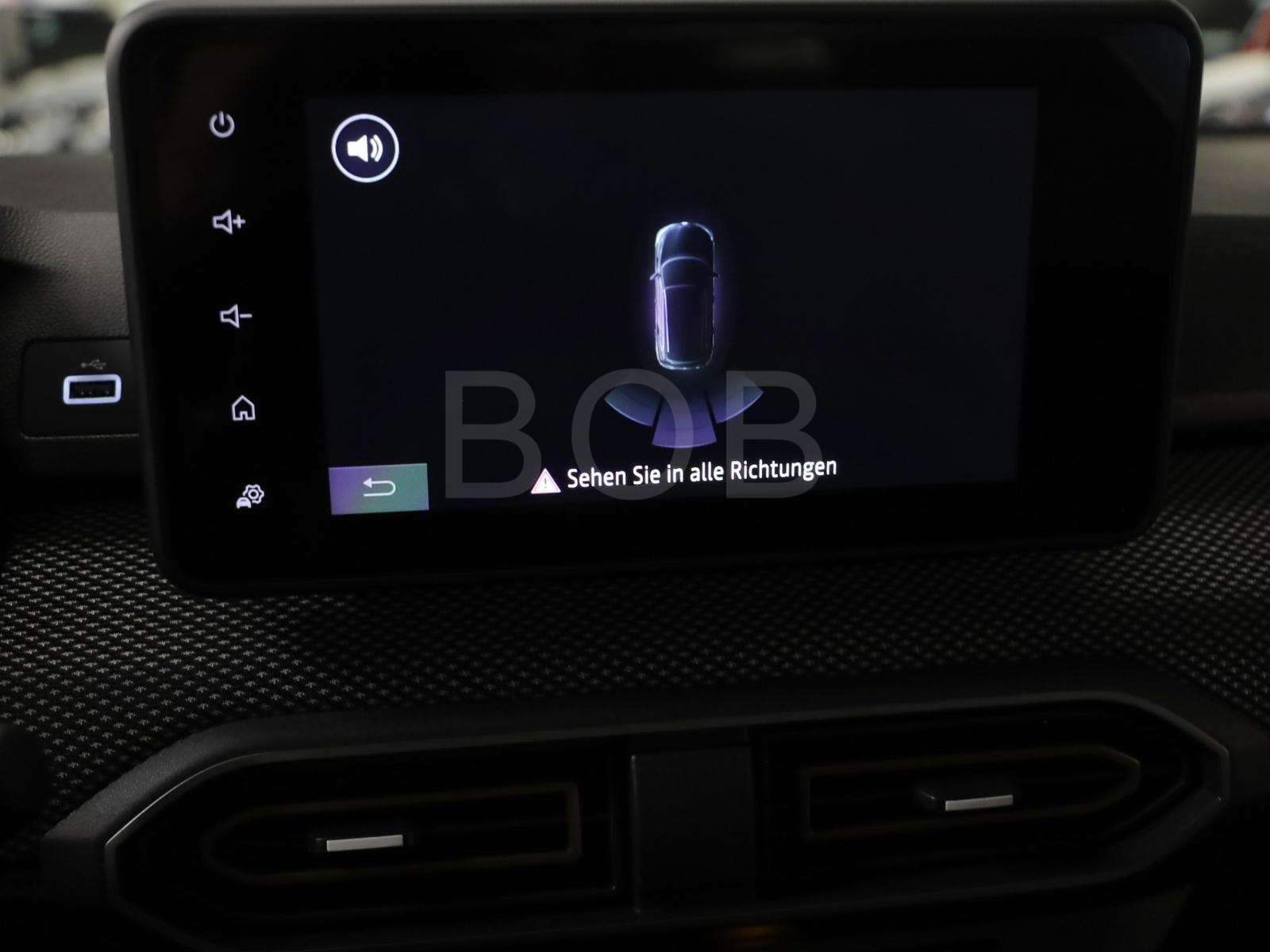 Fahrzeugbild eines Dacia Sandero