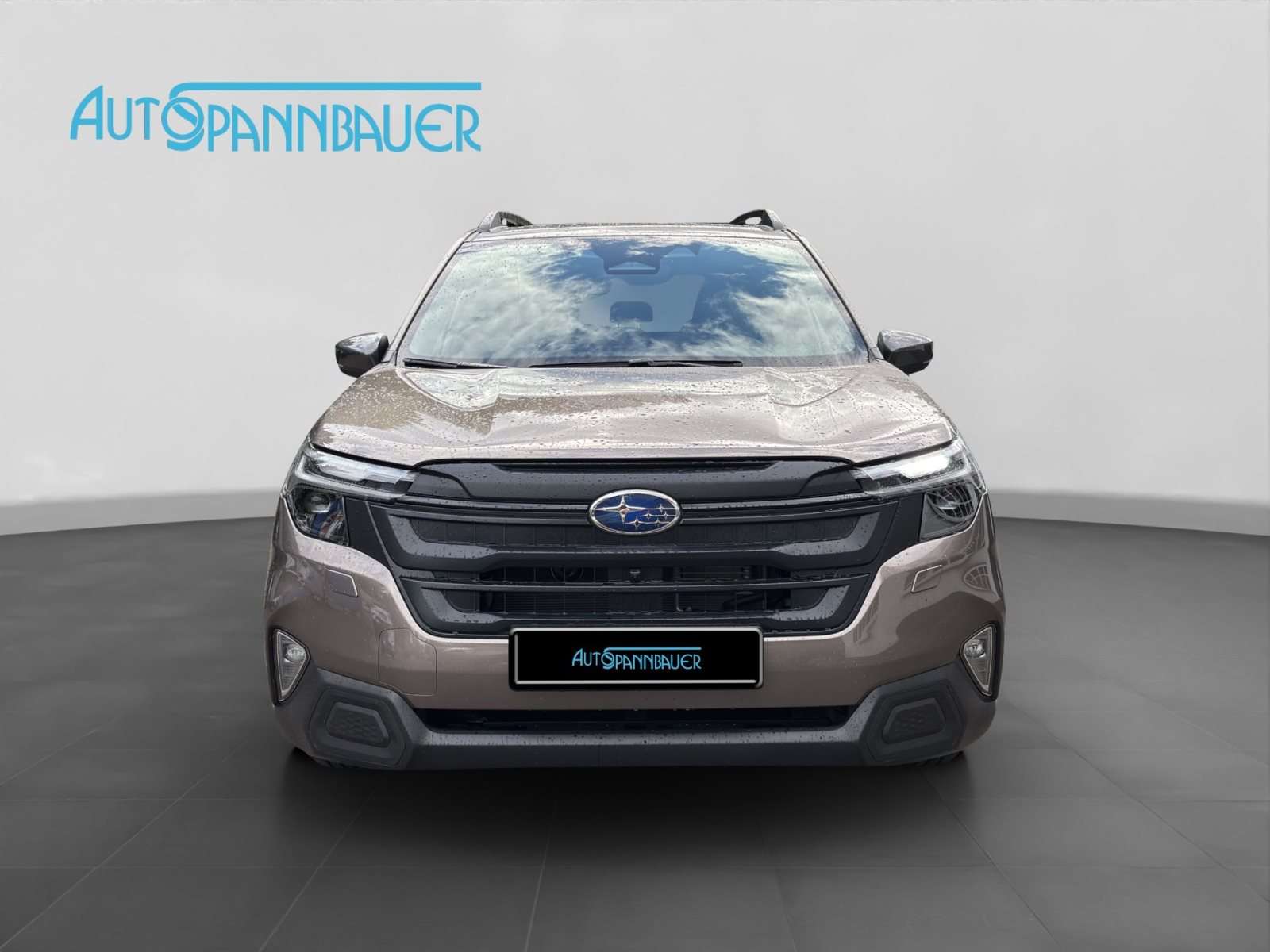 Fahrzeugbild eines Subaru Forester