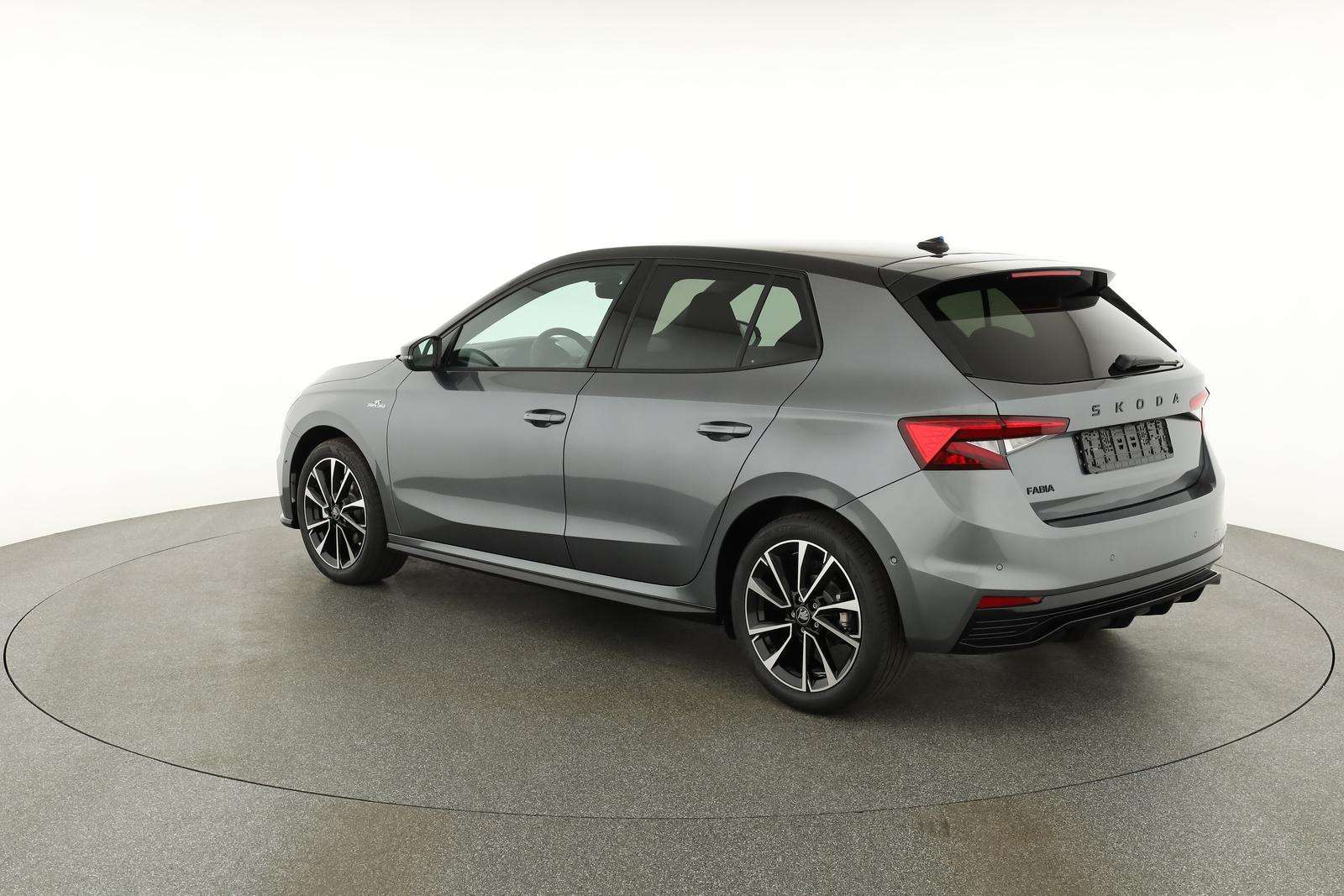 Fahrzeugbild eines Skoda Fabia