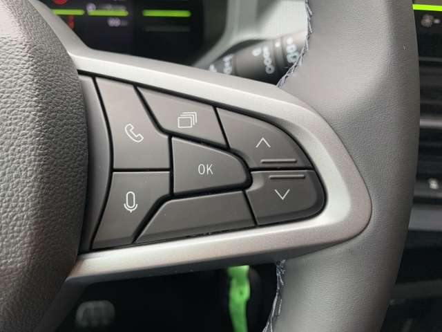 Fahrzeugbild eines Dacia Bigster