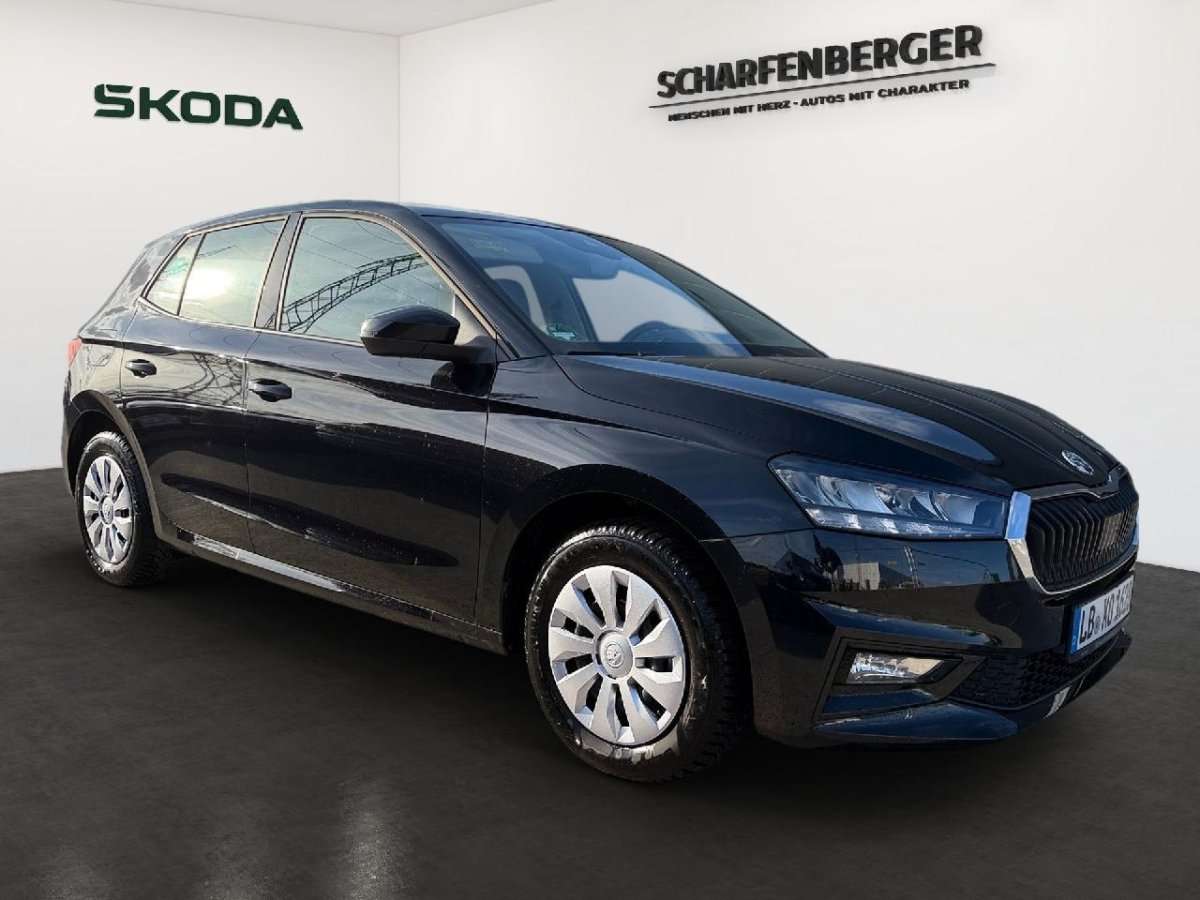 Fahrzeugbild eines Skoda Fabia
