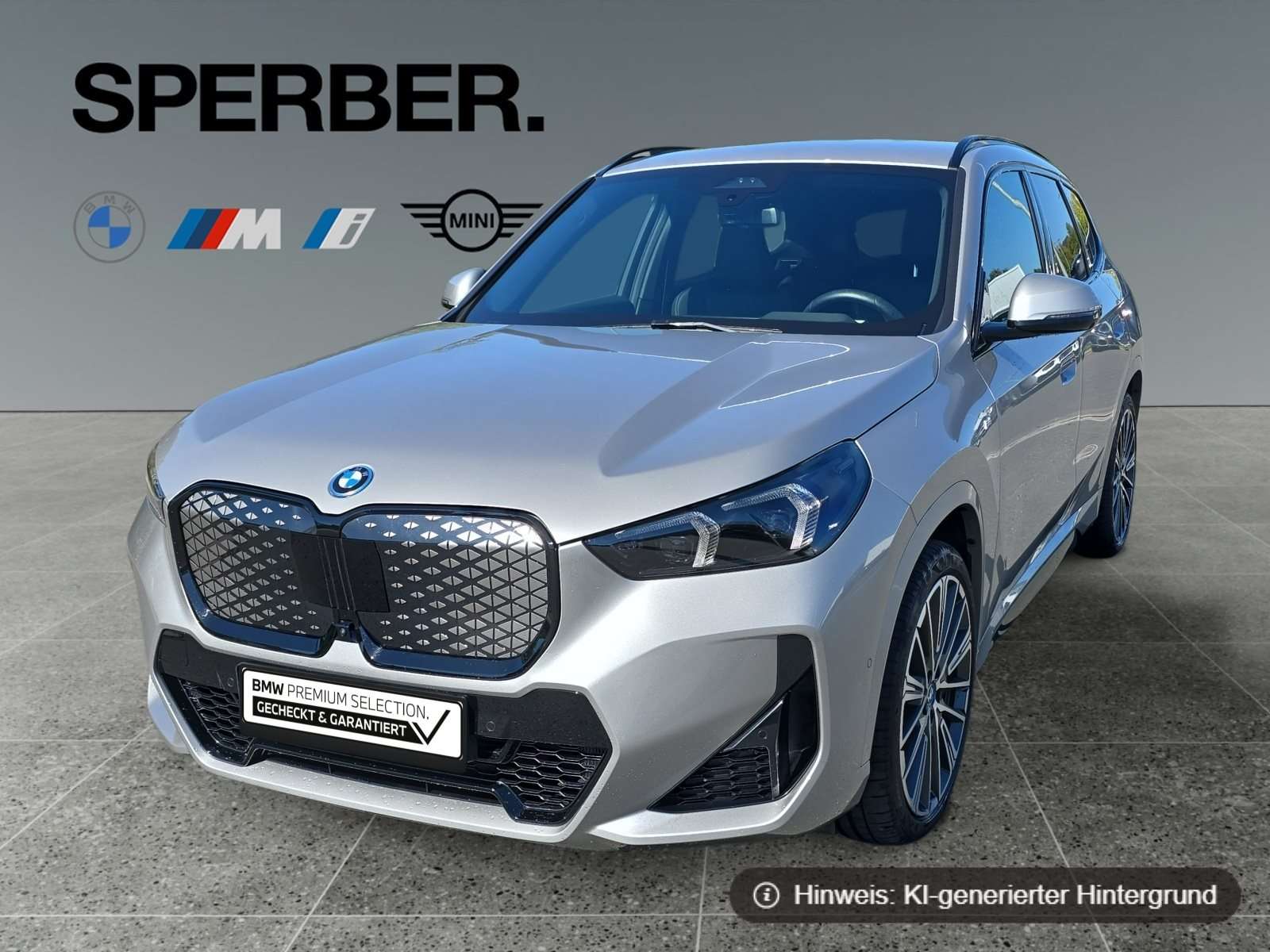 Fahrzeugbild eines BMW iX1