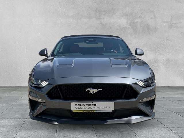 Fahrzeugbild eines Ford Mustang
