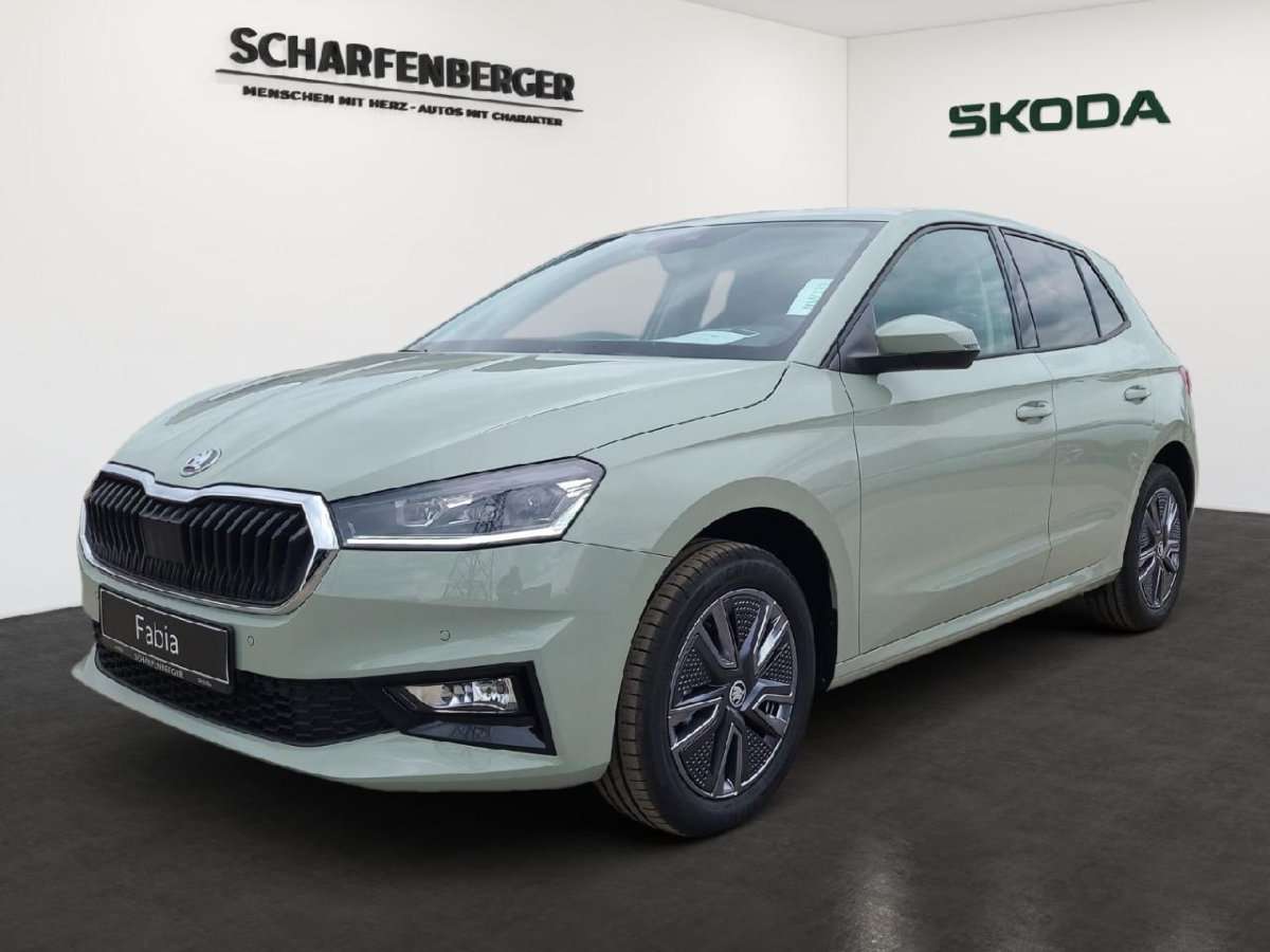 Fahrzeugbild eines Skoda Fabia