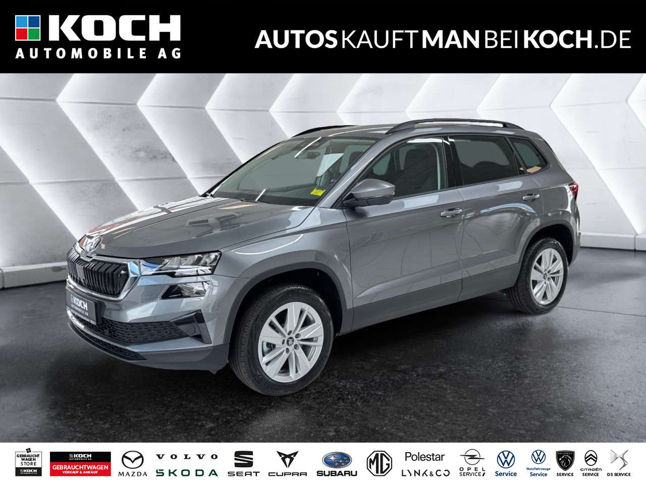 Fahrzeugbild eines Skoda Karoq