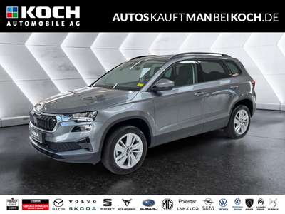 Bild Skoda Karoq