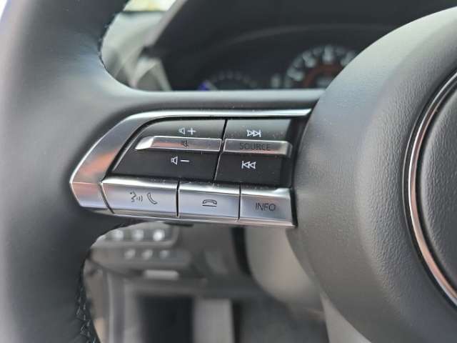 Fahrzeugbild eines Mazda MX-30