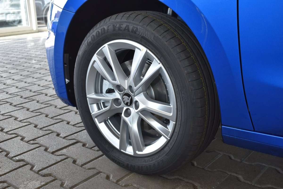 Fahrzeugbild eines Skoda Fabia