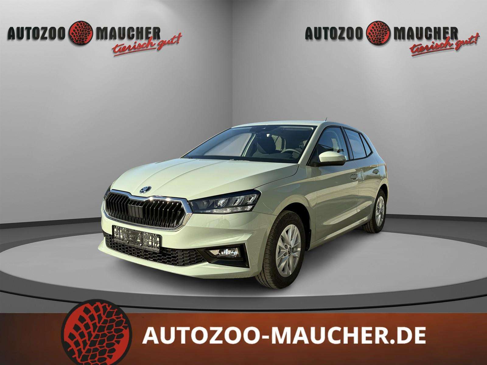 Fahrzeugbild eines Skoda Fabia