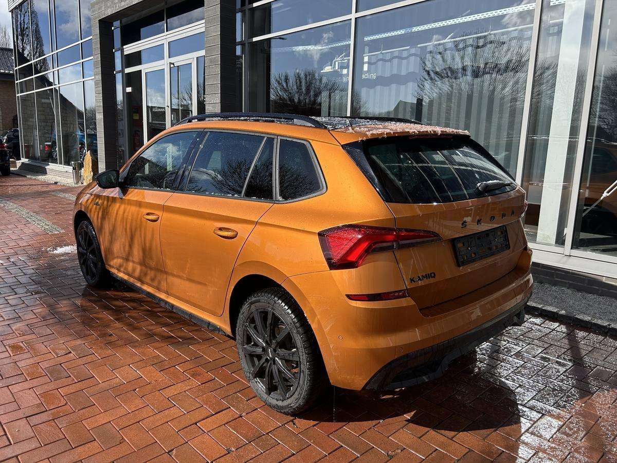 Fahrzeugbild eines Skoda Kamiq