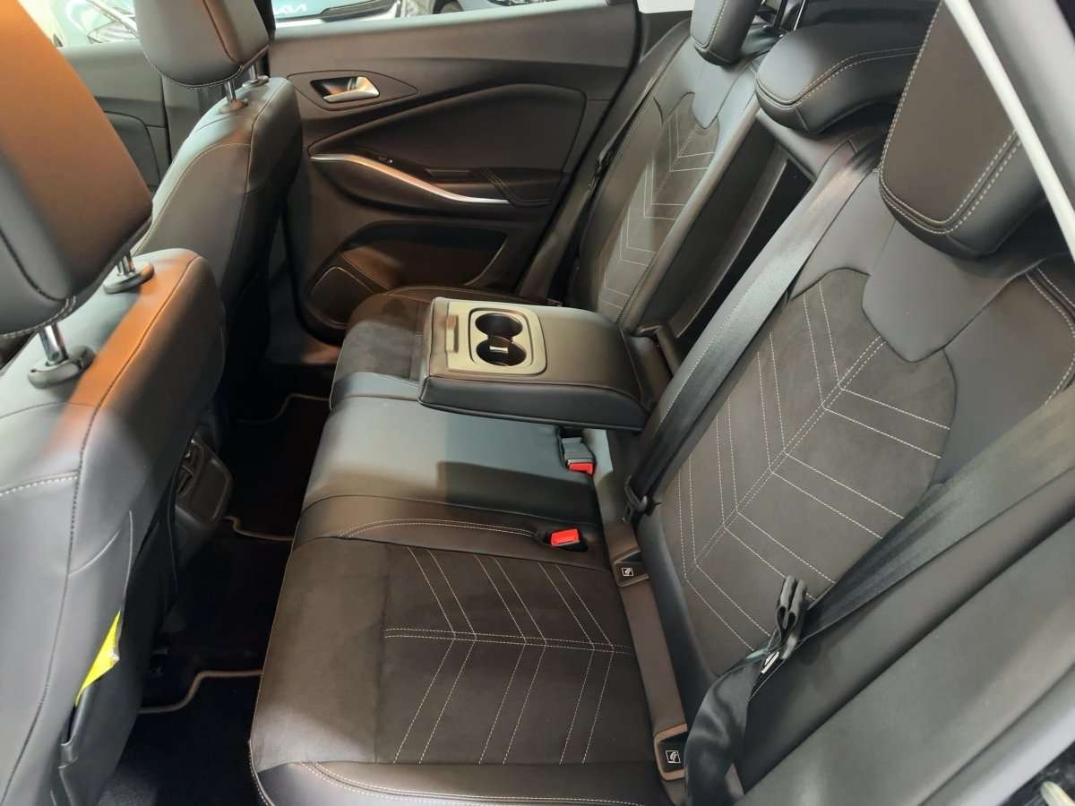 Fahrzeugbild eines Opel Grandland X