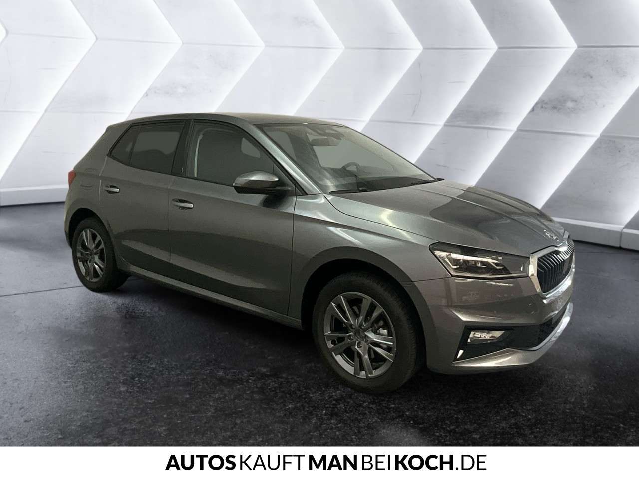 Fahrzeugbild eines Skoda Fabia