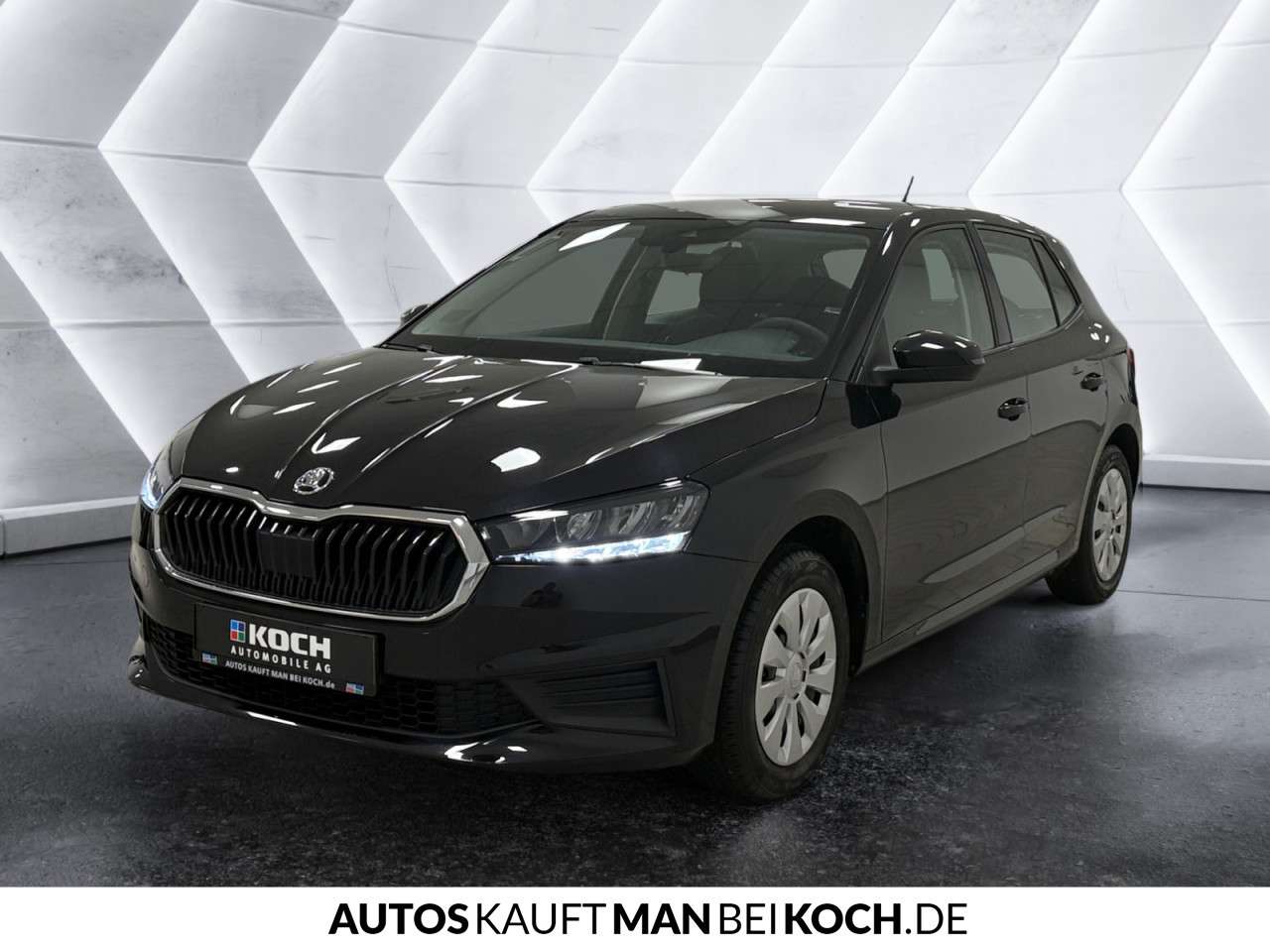 Fahrzeugbild eines Skoda Fabia
