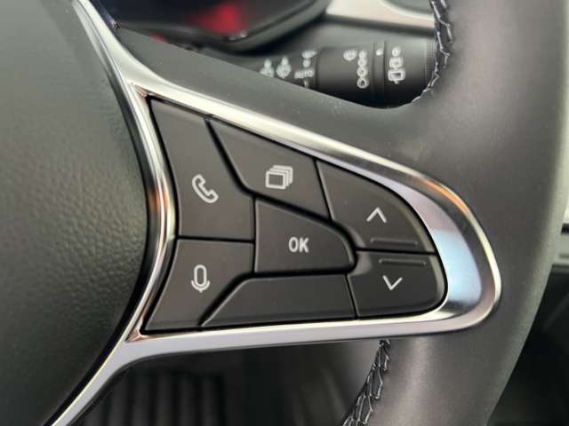 Fahrzeugbild eines Mitsubishi Grandis