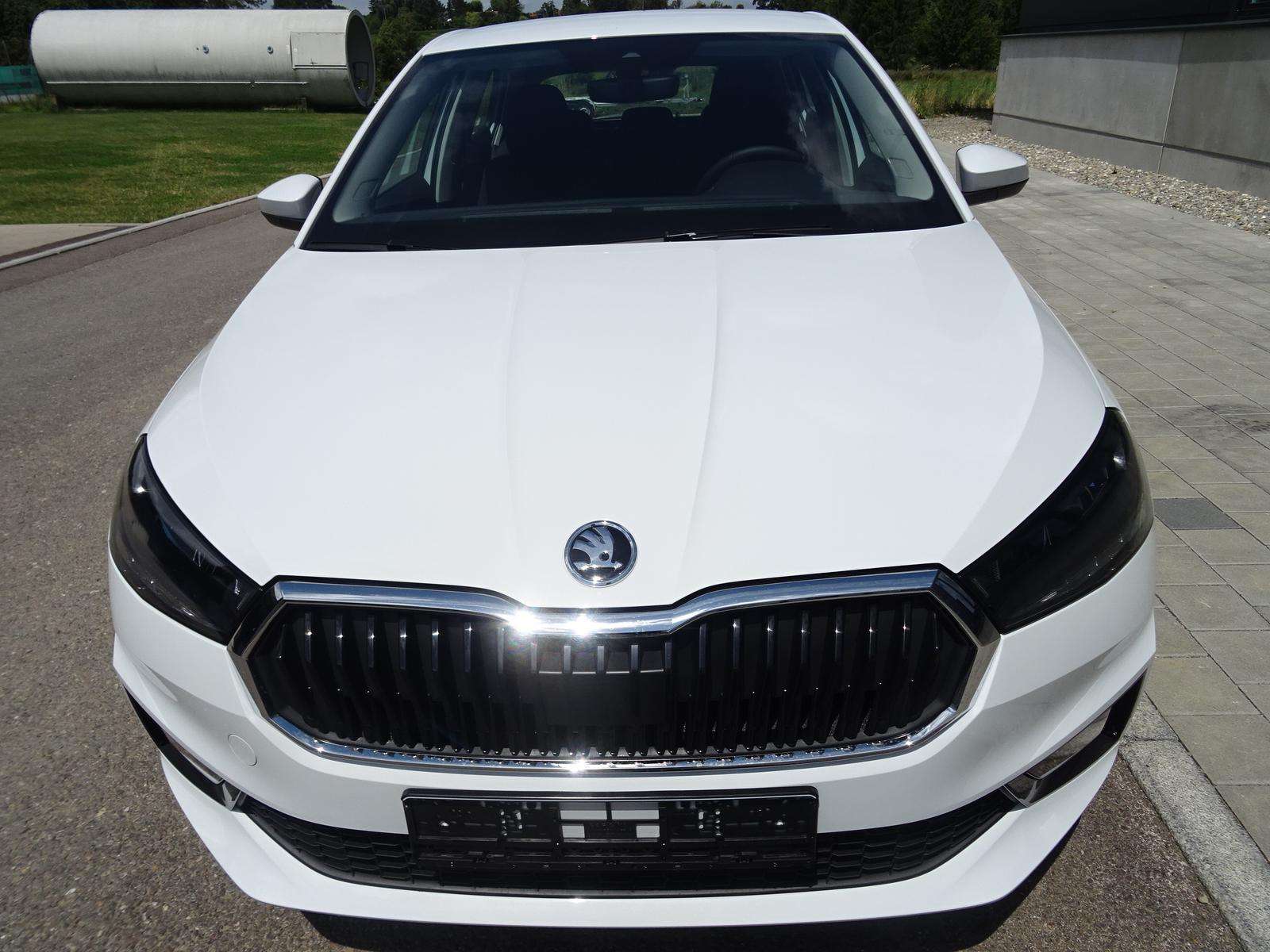 Fahrzeugbild eines Skoda Fabia