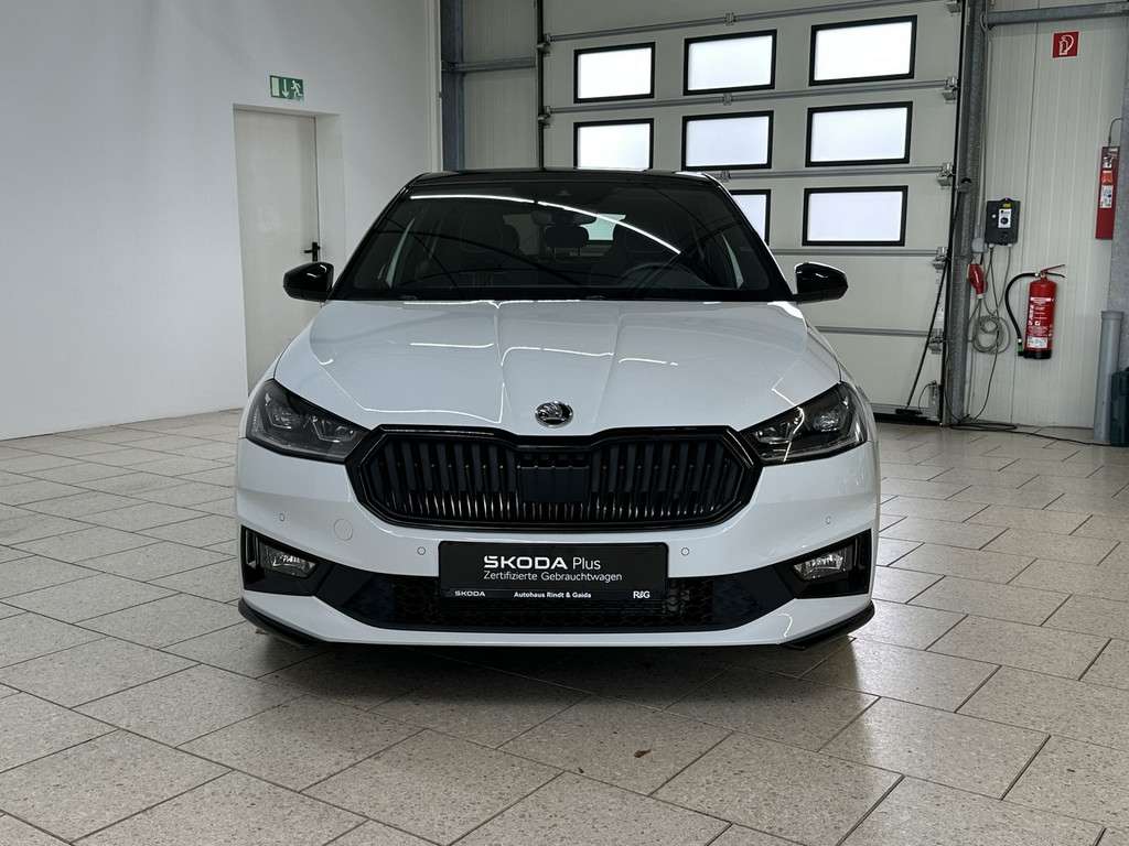 Fahrzeugbild eines Skoda Fabia
