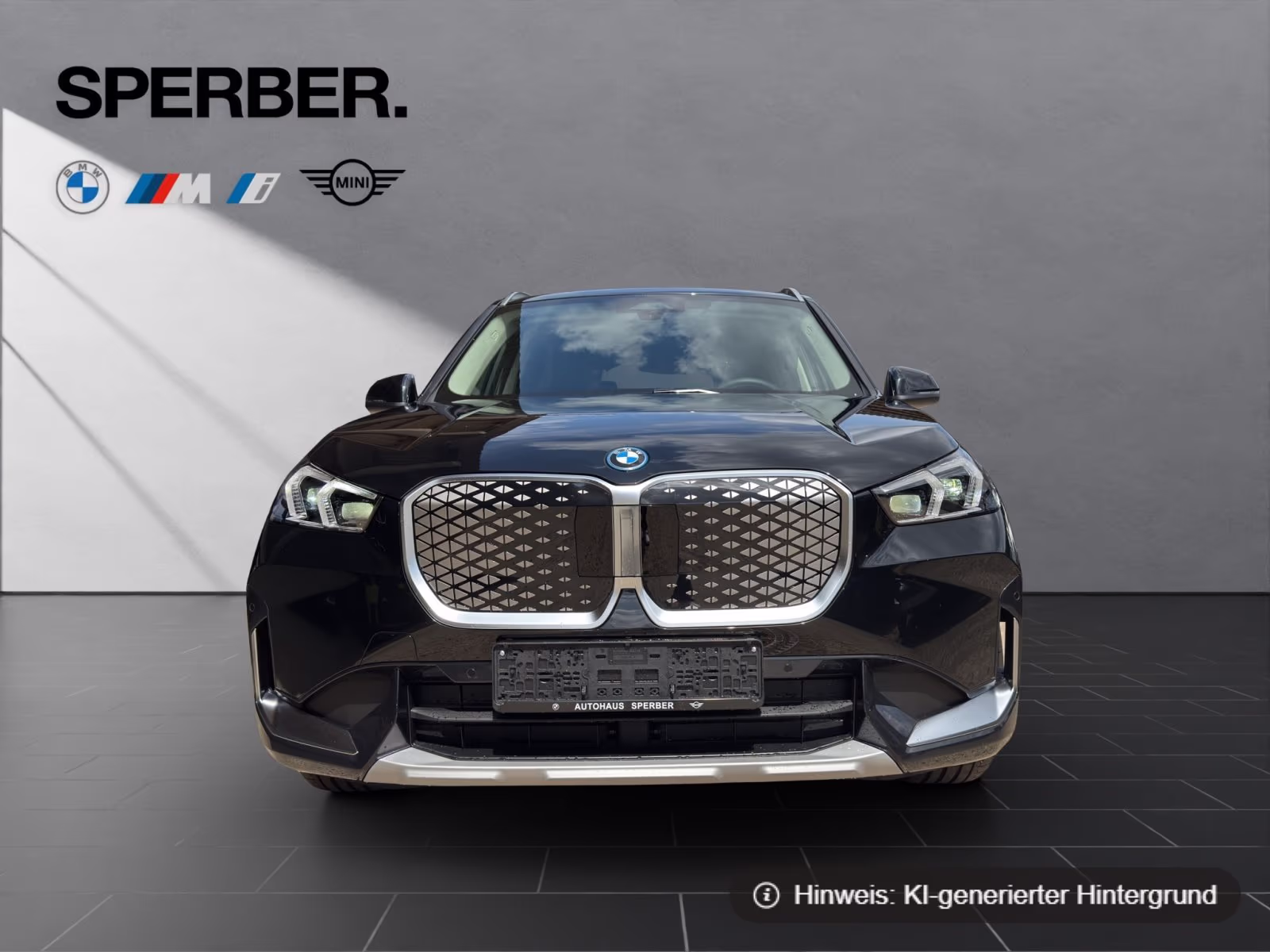 Fahrzeugbild eines BMW iX1