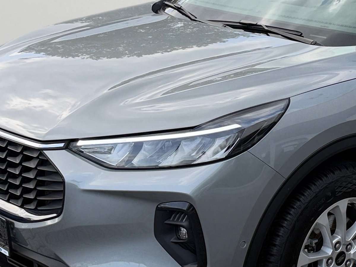 Fahrzeugbild eines Ford Kuga