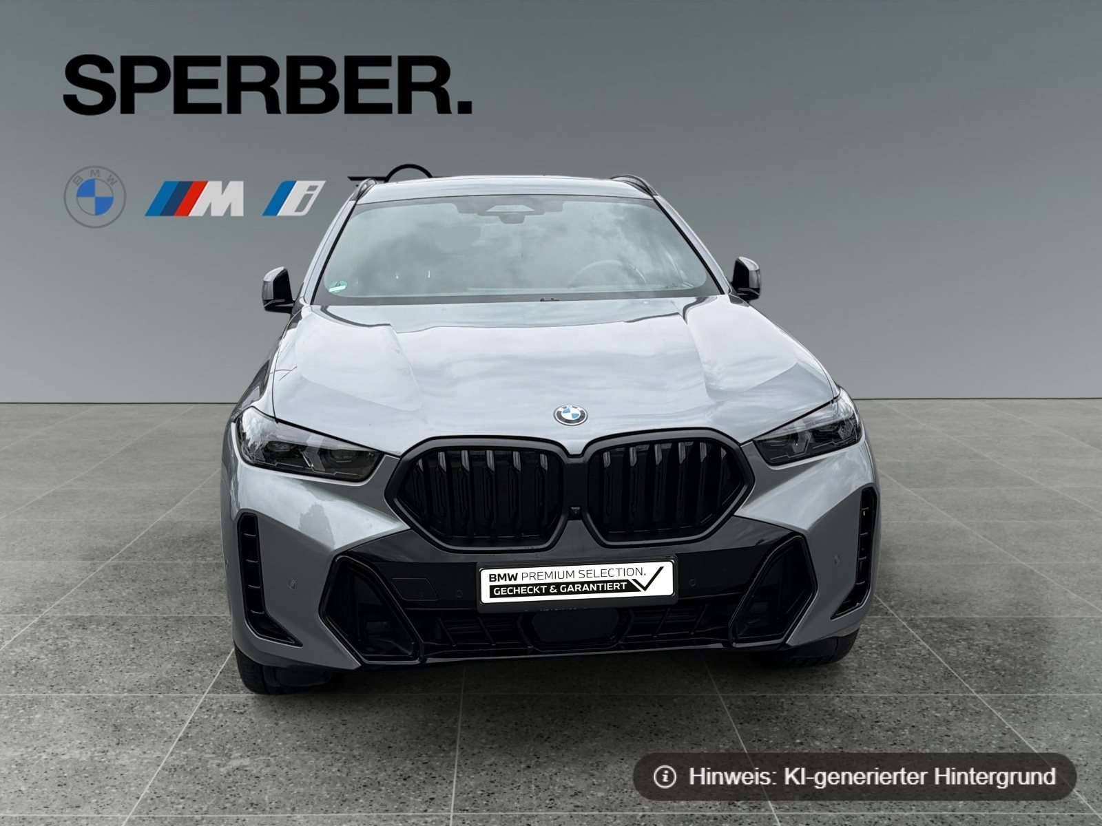 Fahrzeugbild eines BMW X6