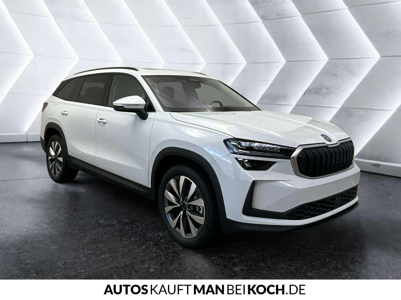 Fahrzeugbild eines Skoda Kodiaq