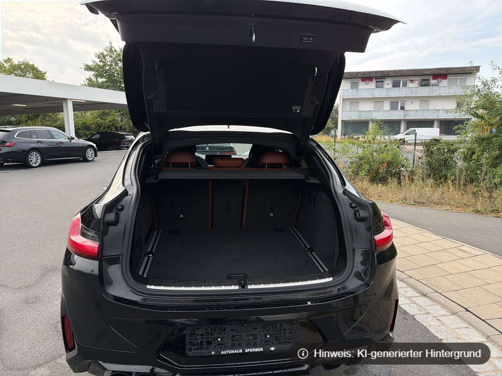 Fahrzeugbild eines BMW X4