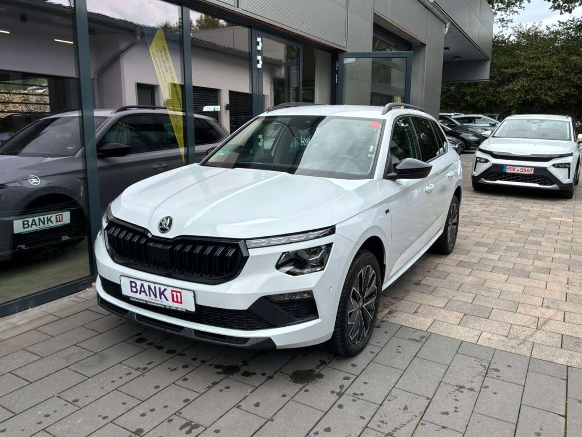 Fahrzeugbild eines Skoda Kamiq