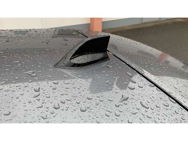 Fahrzeugbild eines Renault ZOE