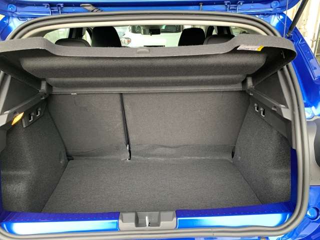 Fahrzeugbild eines Dacia Sandero