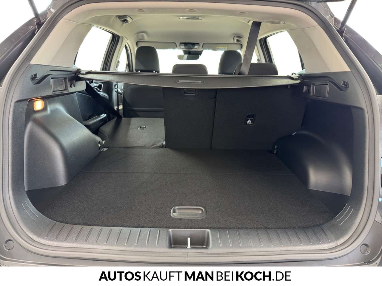 Fahrzeugbild eines Kia Sportage