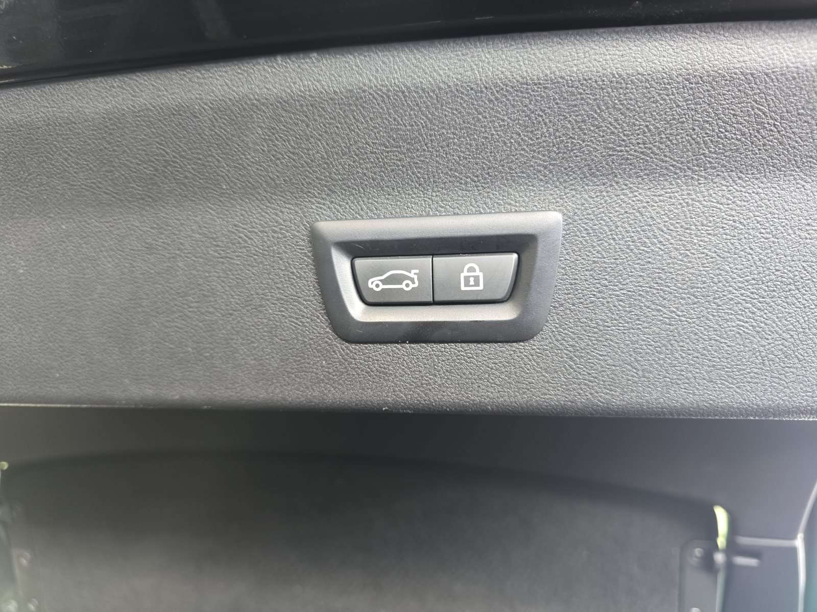 Fahrzeugbild eines BMW X4