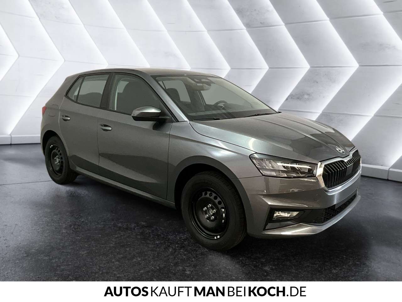 Fahrzeugbild eines Skoda Fabia