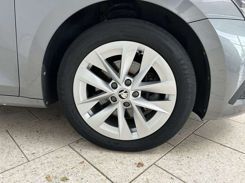Fahrzeugbild eines Skoda Octavia