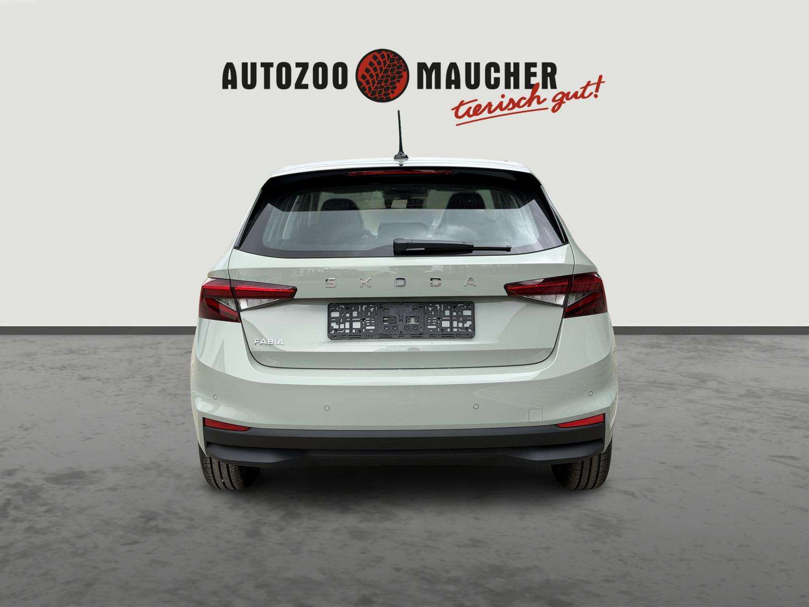 Fahrzeugbild eines Skoda Fabia