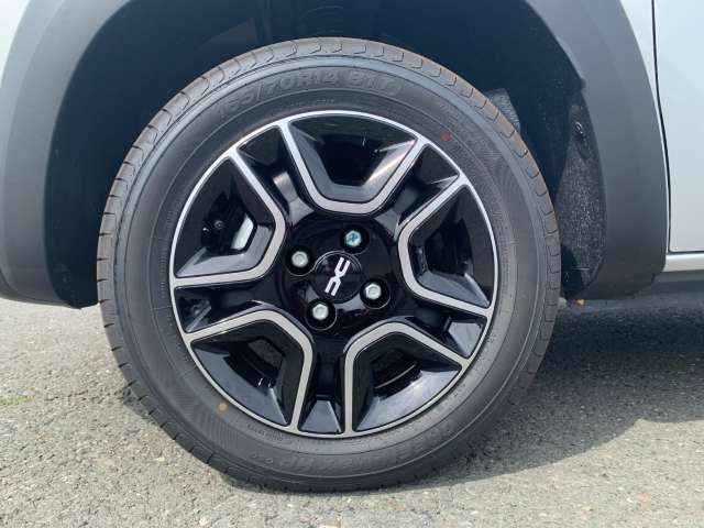 Fahrzeugbild eines Dacia Spring