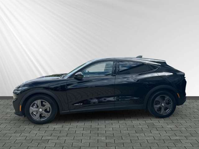 Fahrzeugbild eines Ford Mustang Mach-E