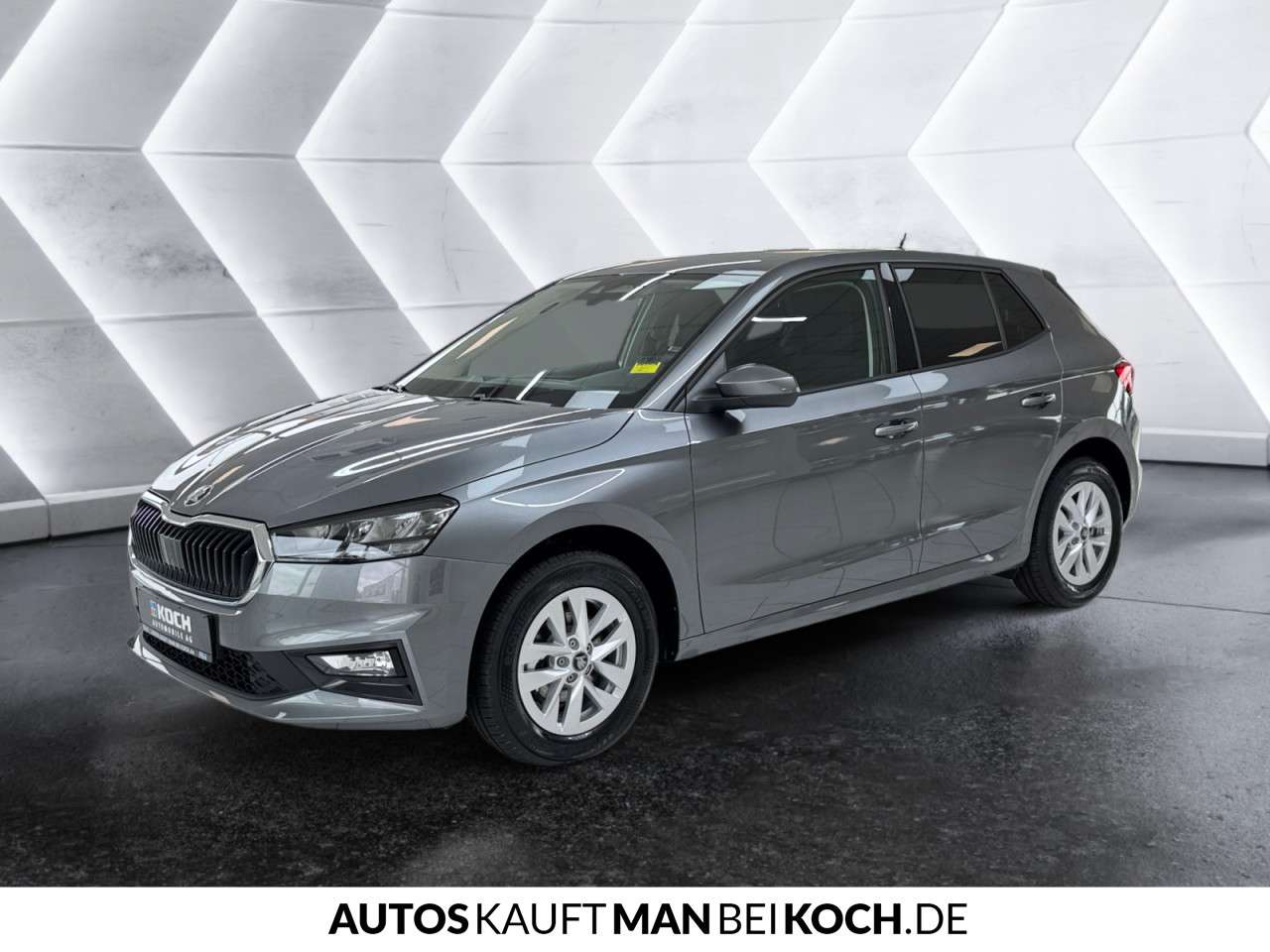 Fahrzeugbild eines Skoda Fabia
