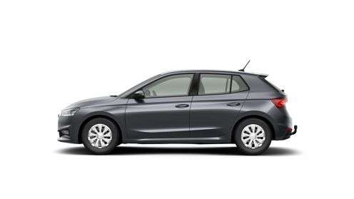 Fahrzeugbild eines Skoda Fabia