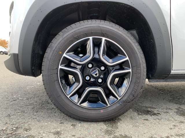 Fahrzeugbild eines Dacia Spring