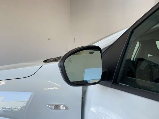 Fahrzeugbild eines Dacia Sandero