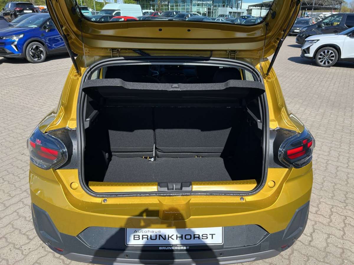 Fahrzeugbild eines Dacia Sandero