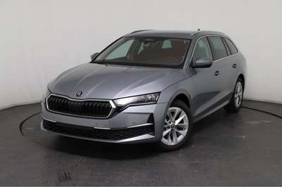 Bild Skoda Octavia